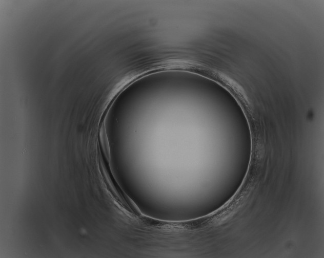 X0000097961473200804011647
