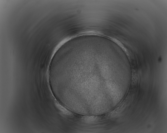 X0000097961474200804011647