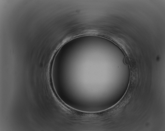 X0000097961475200804011647