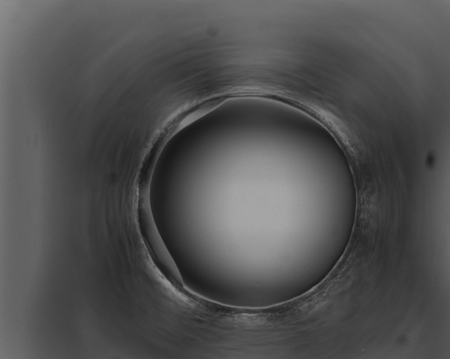 X0000097961476200804011647
