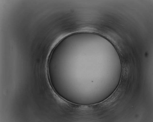 X0000097961478200804011647