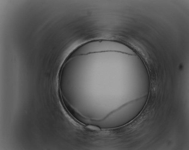 X0000097961479200804011647