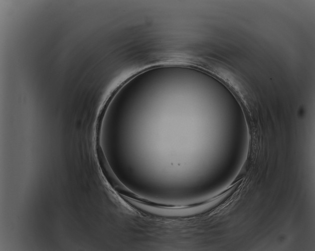 X0000097961480200804011647