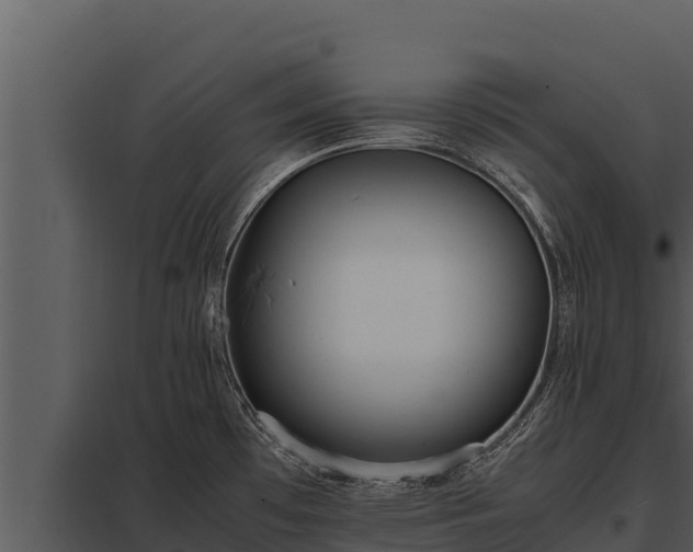 X0000097961481200804011647