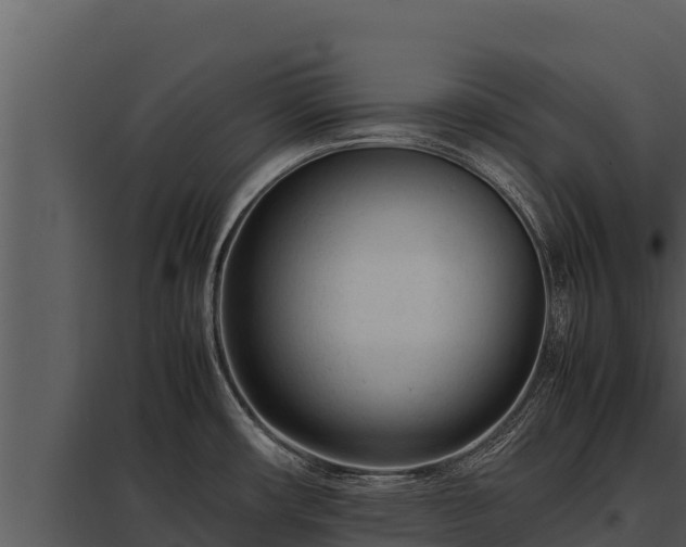 X0000097961482200804011647