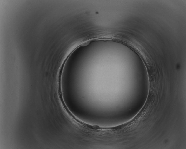 X0000097961483200804011647