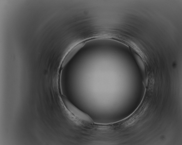X0000097961484200804011646
