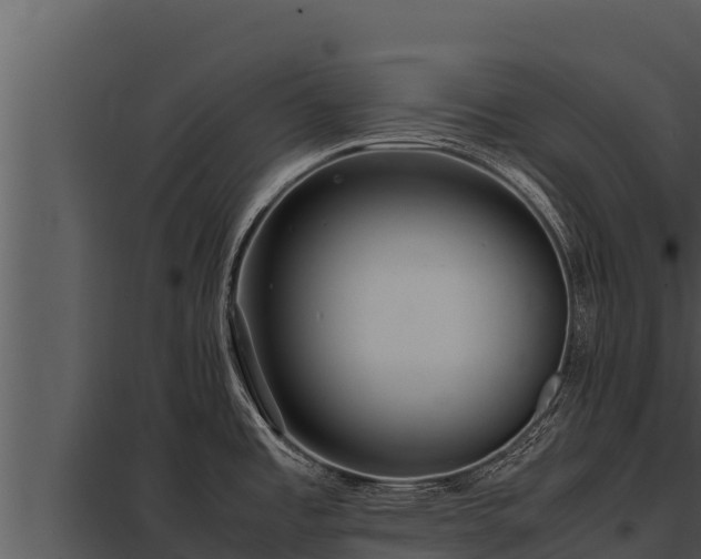 X0000097961485200804011646