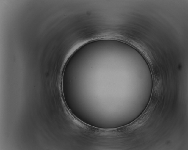 X0000097961486200804011646