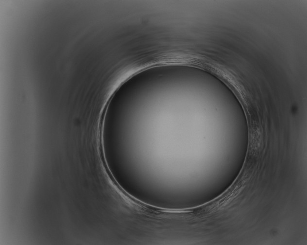 X0000097961487200804011646