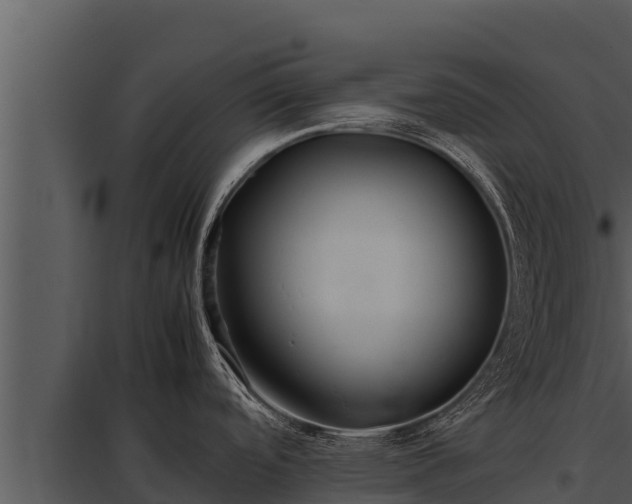 X0000097961488200804011646
