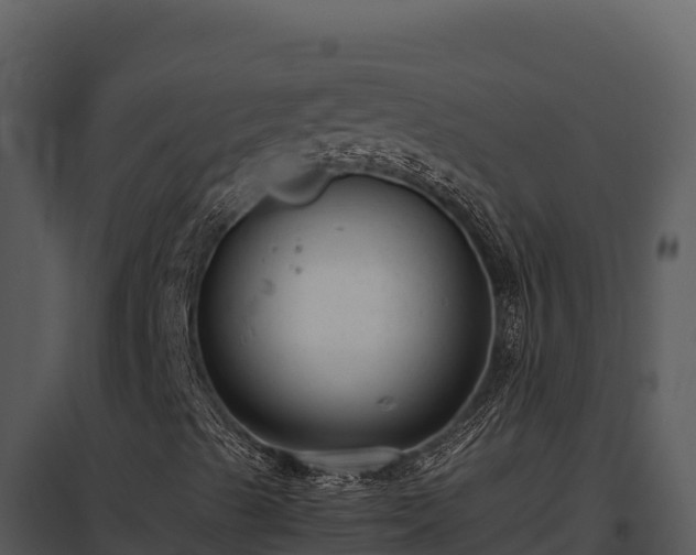 X0000097961489200804011646