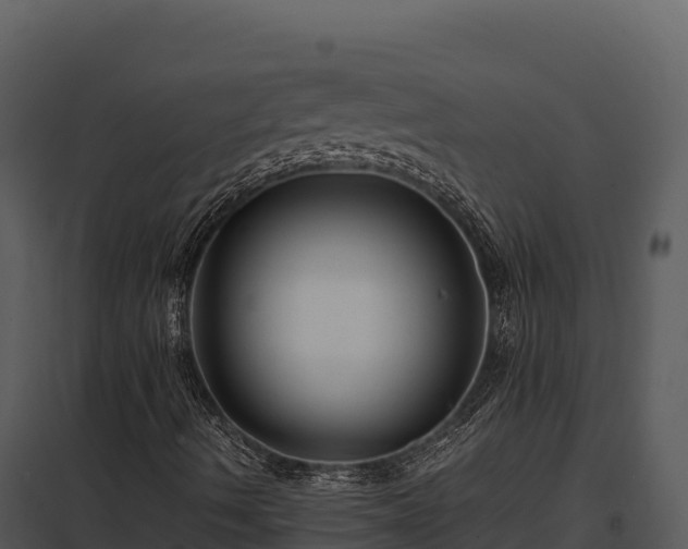 X0000097961490200804011646