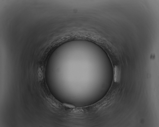 X0000097961491200804011646