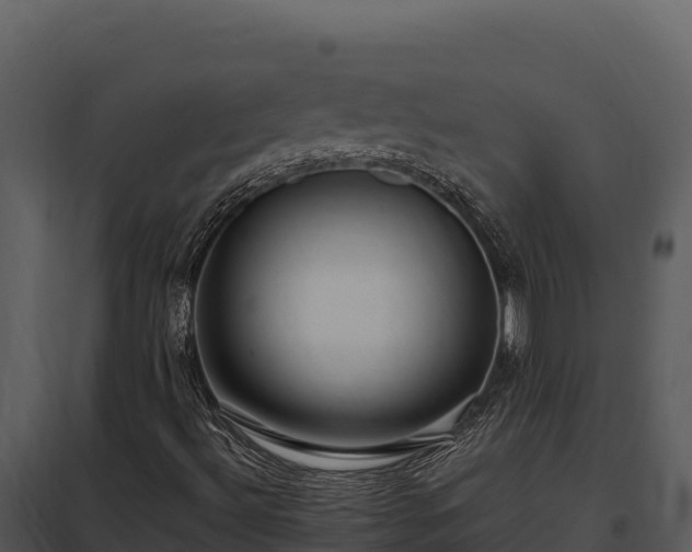 X0000097961492200804011646