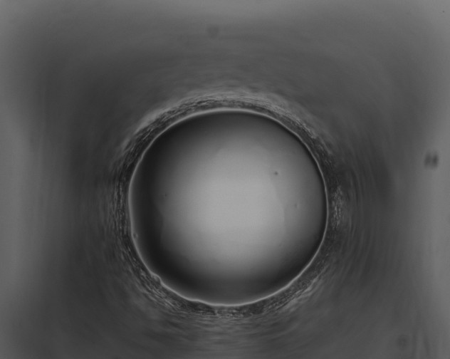 X0000097961494200804011646
