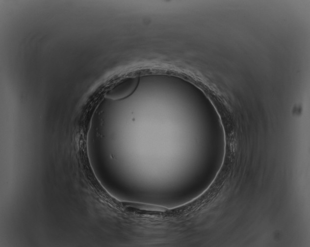 X0000097961495200804011646