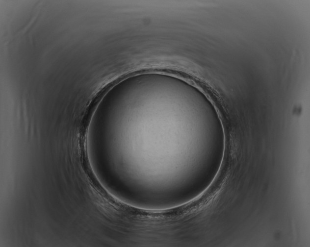 X0000097961497200804011646