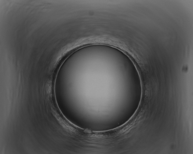 X0000097961499200804011646
