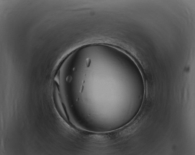 X0000097961500200804011646