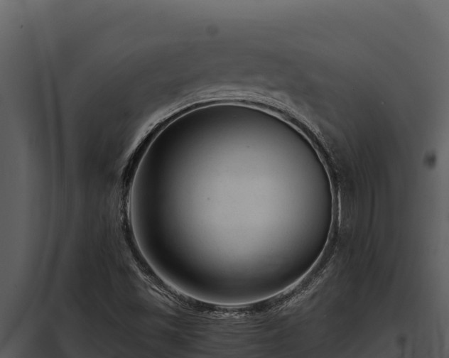 X0000097961501200804011646
