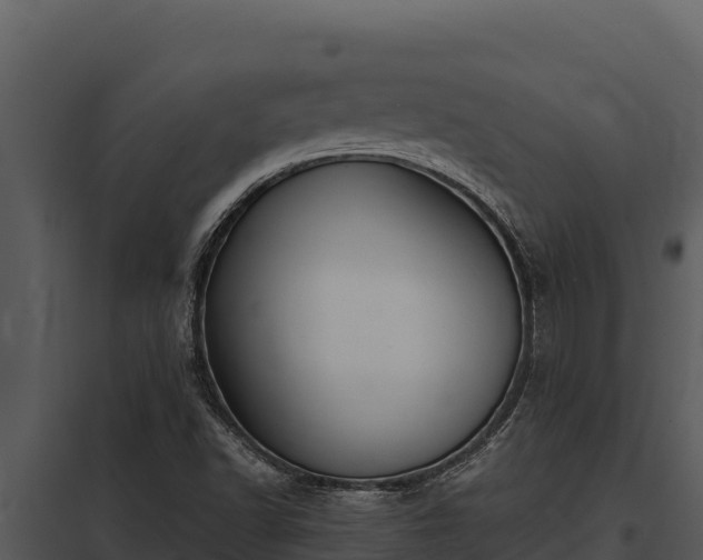 X0000097961502200804011646
