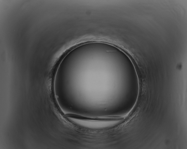 X0000097961503200804011646