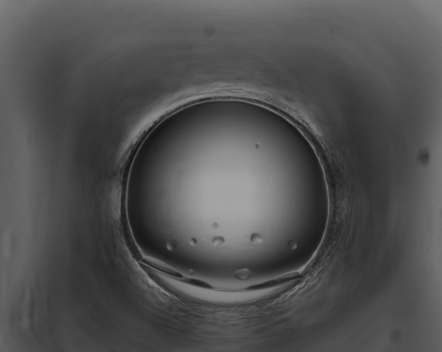 X0000097961504200804011646