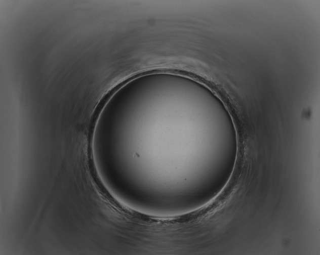 X0000097961505200804011646