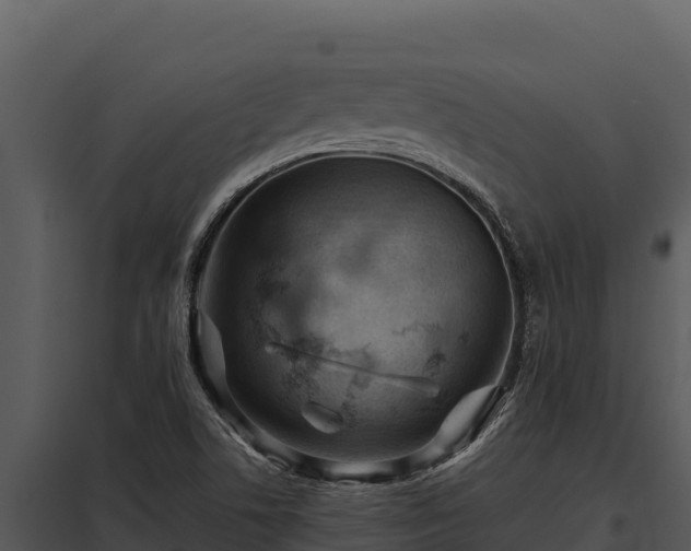 X0000097961506200804011646