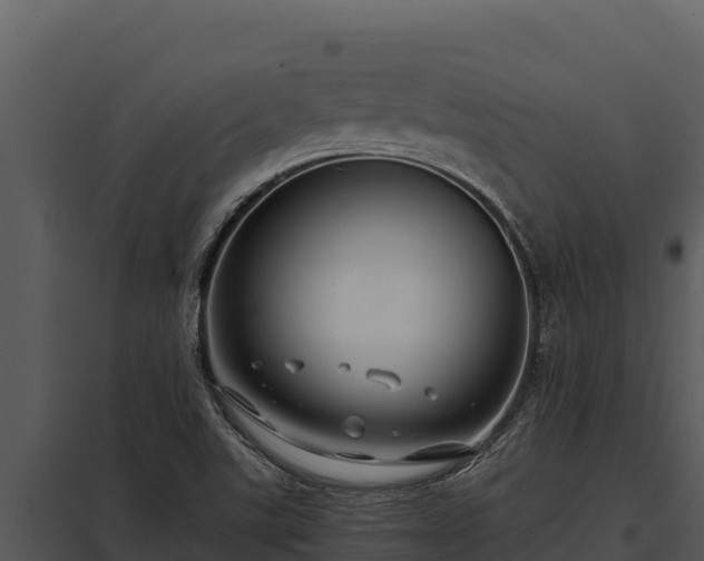 X0000097961507200804011646