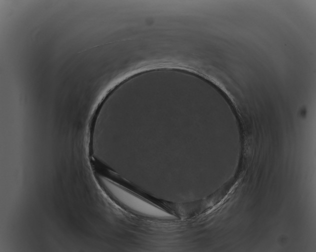 X0000097961508200804011646