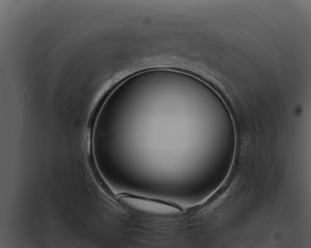 X0000097961509200804011646