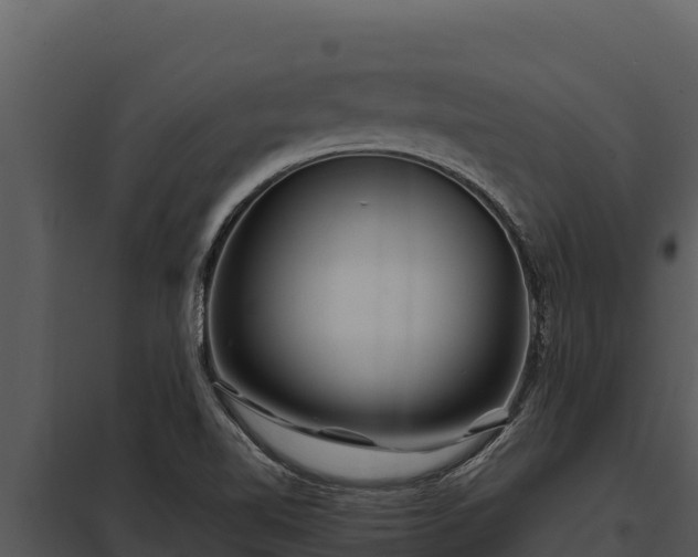 X0000097961510200804011646