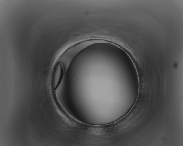 X0000097961511200804011646