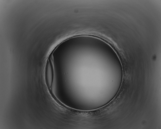 X0000097961512200804011646