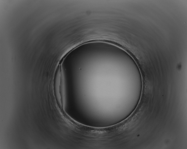 X0000097961513200804011646