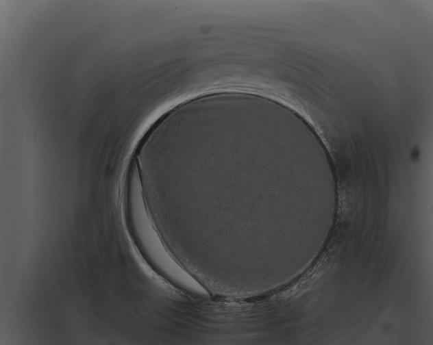 X0000097961515200804011646