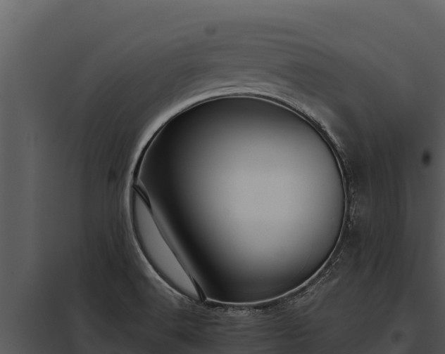 X0000097961516200804011646