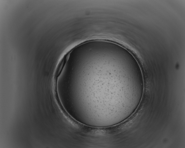 X0000097961517200804011646
