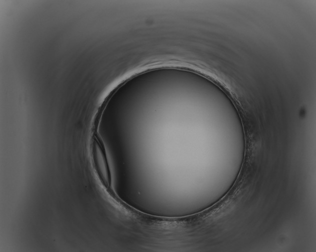 X0000097961518200804011646