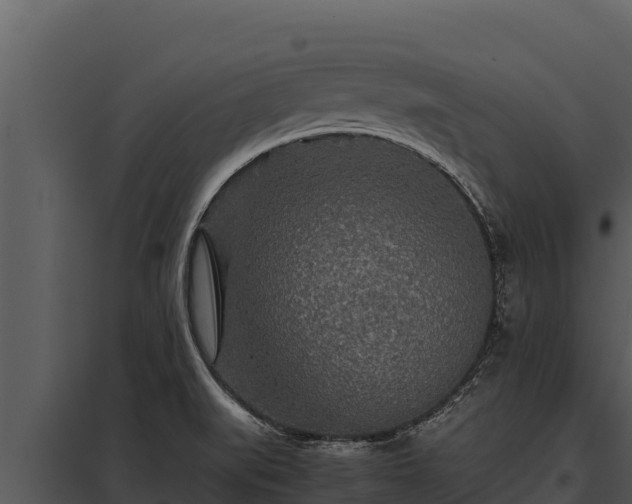X0000097961519200804011646