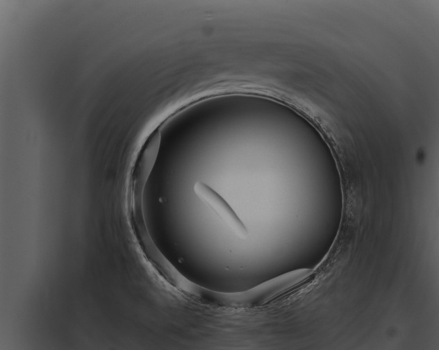 X0000097961520200804011646