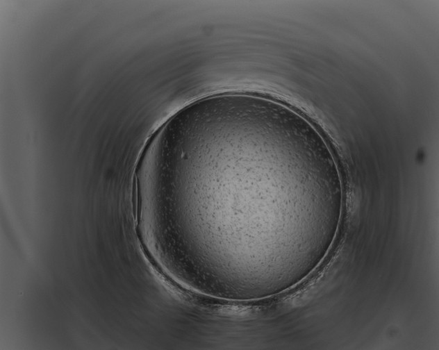 X0000097961521200804011646