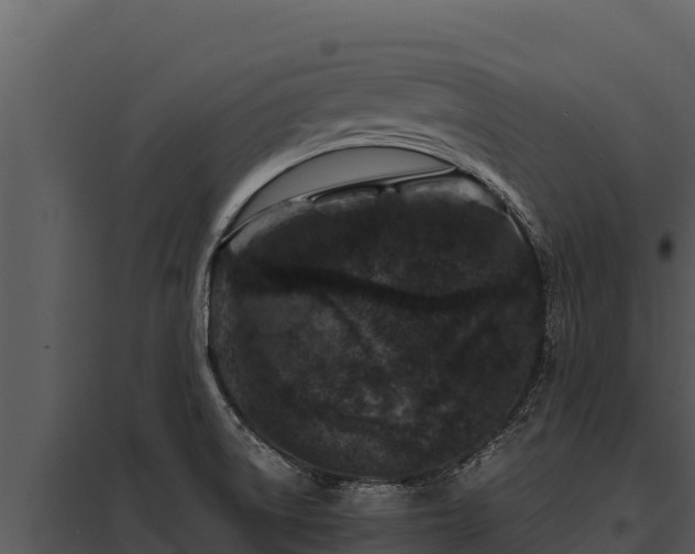 X0000097961522200804011646