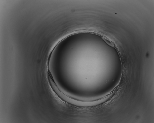 X0000097961524200804011646