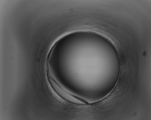 X0000097961526200804011646
