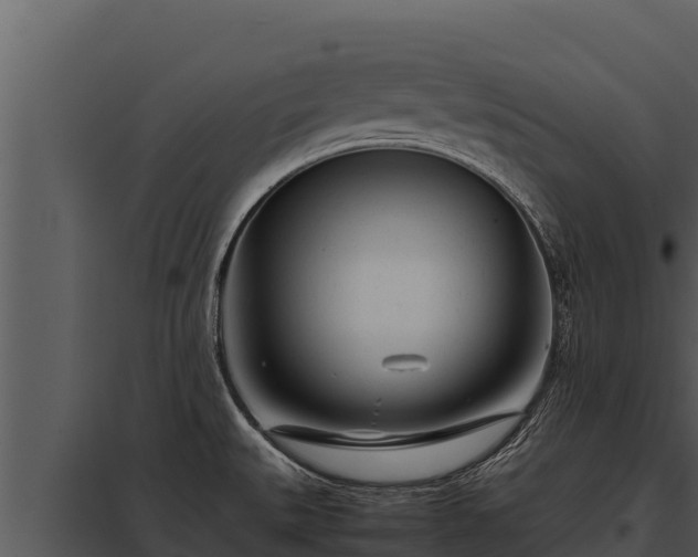 X0000097961527200804011646