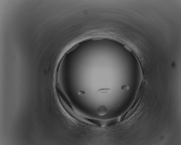X0000097961528200804011646