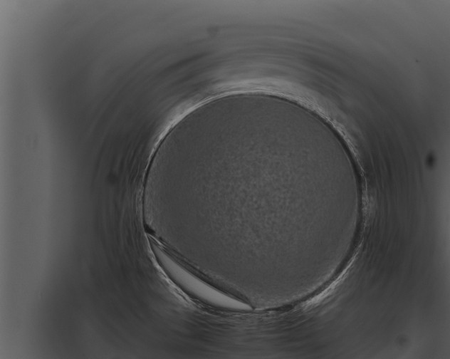 X0000097961529200804011646